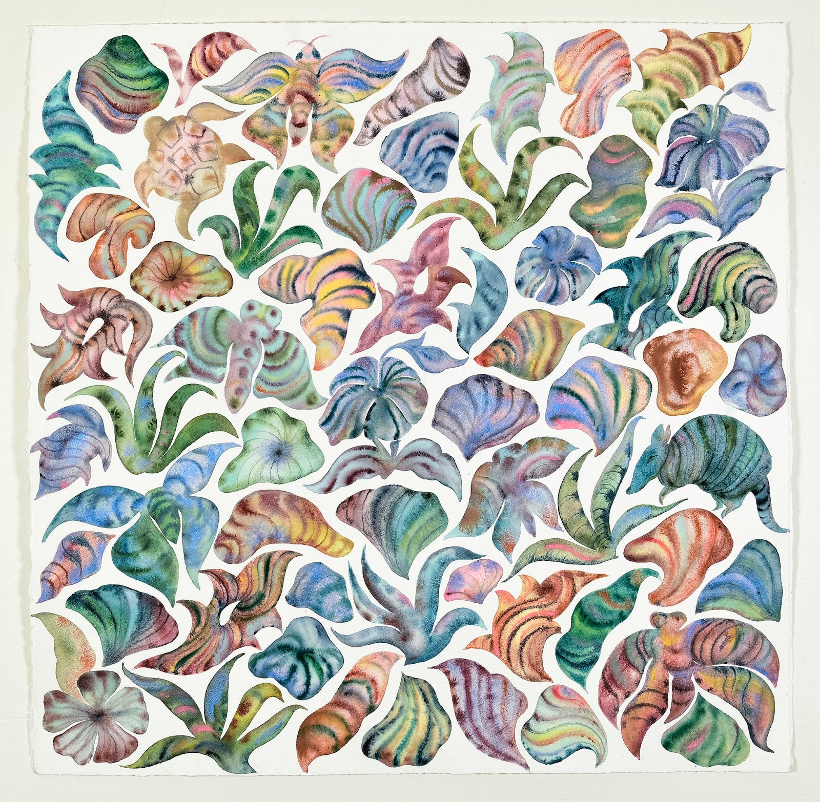 Belmont Garden Study