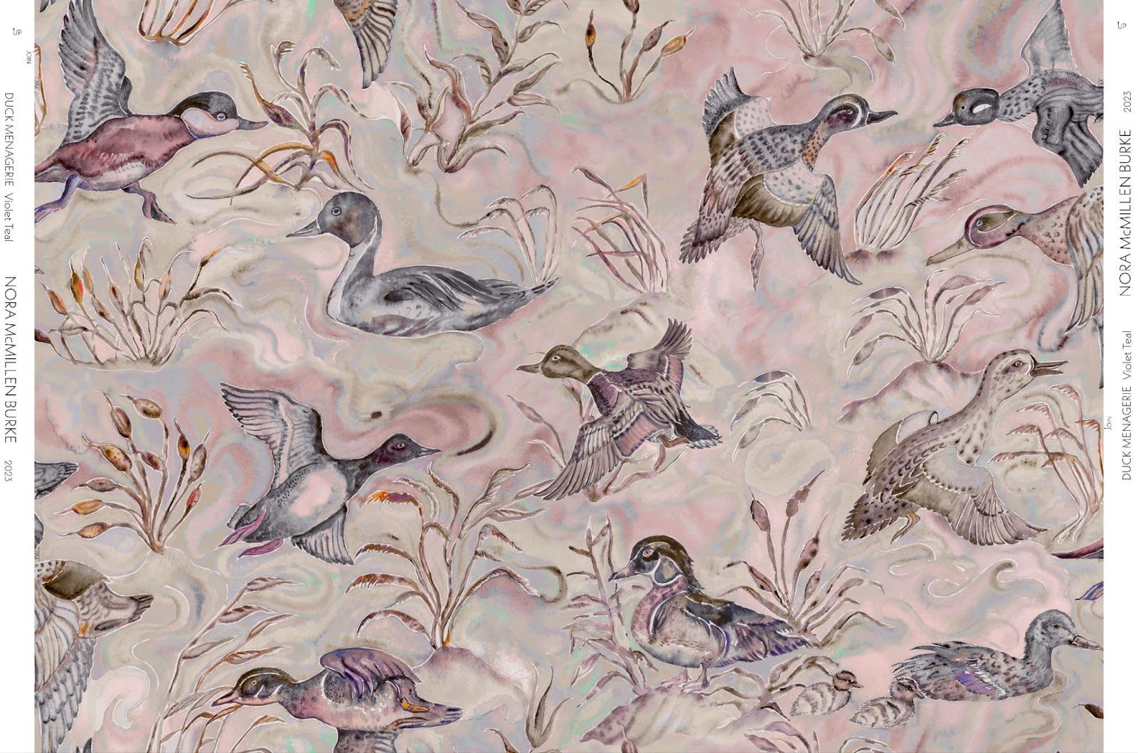 Duck Menagerie in Potters Pink