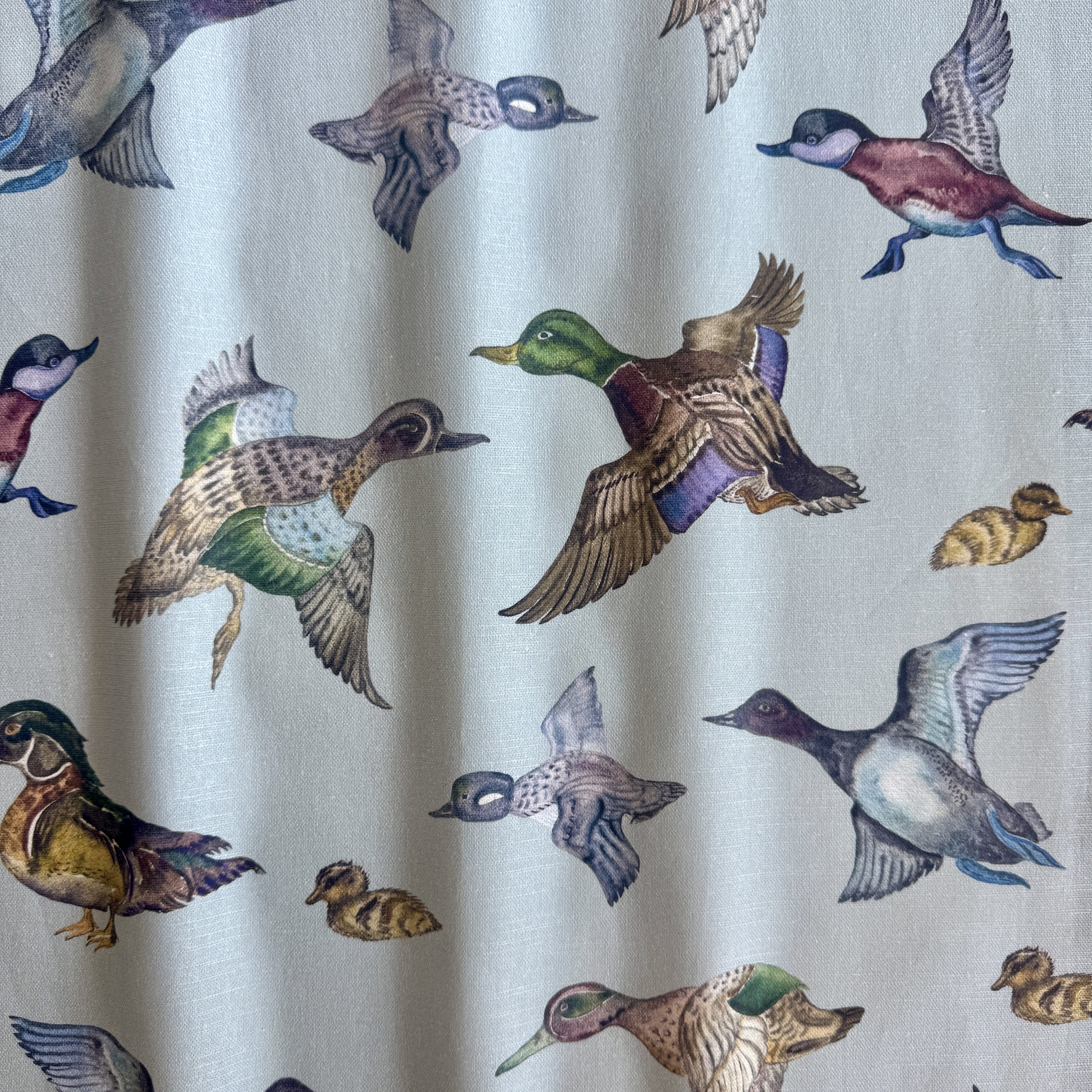 Texas Ducks Linen Cotton Blend in Heather Blue