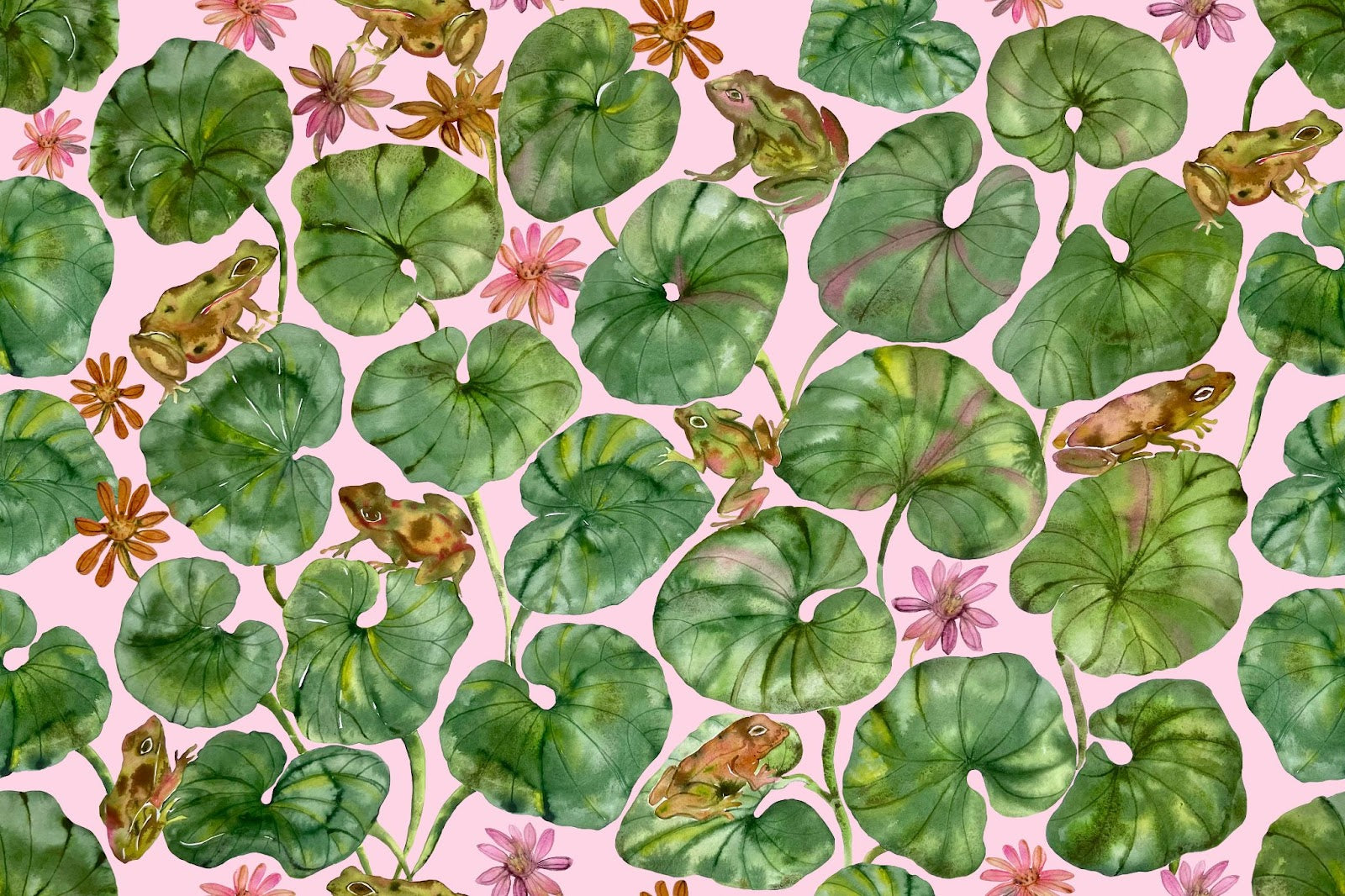 Leopard Plant