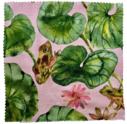 Leopard Plant