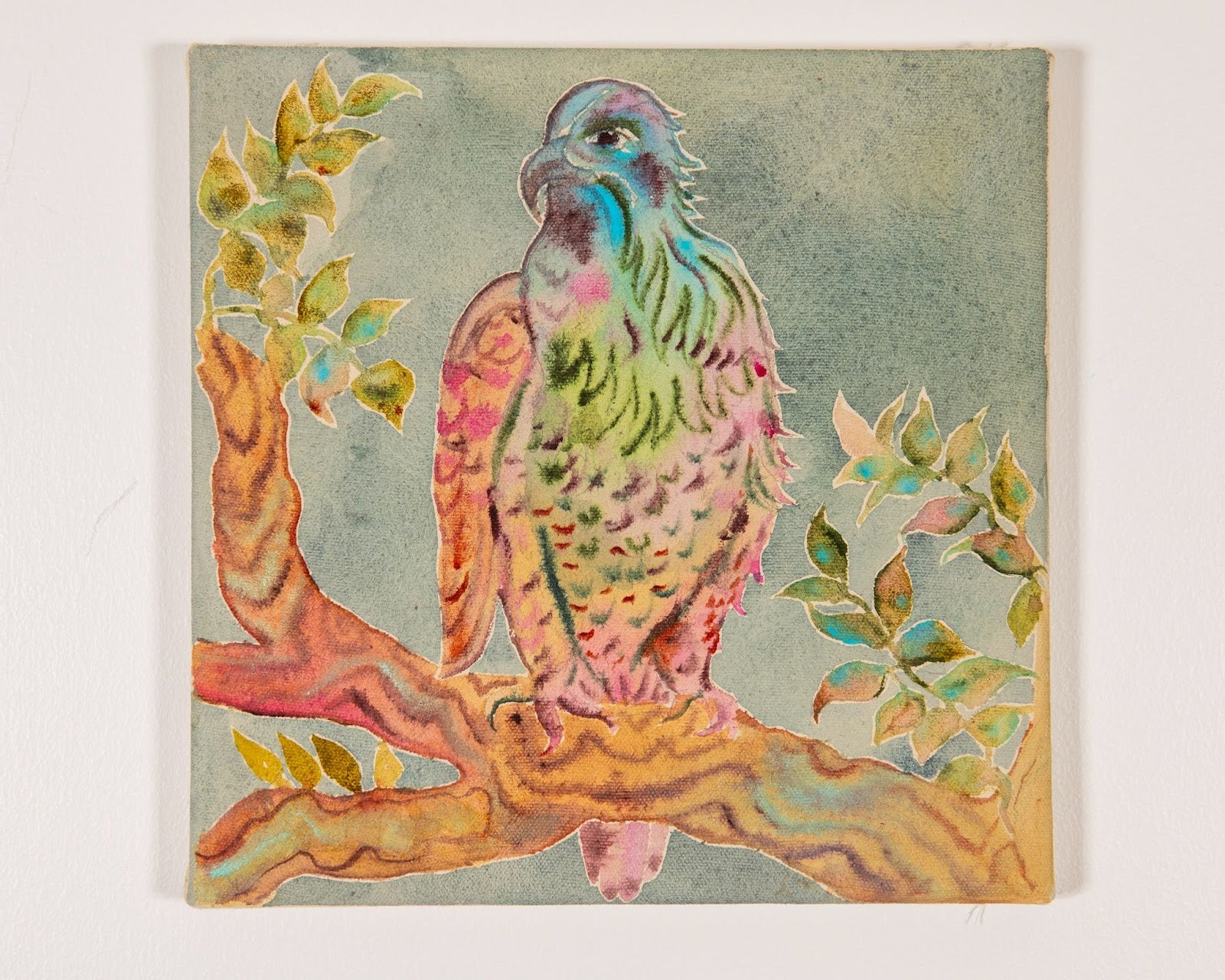 Rainbow Hawk