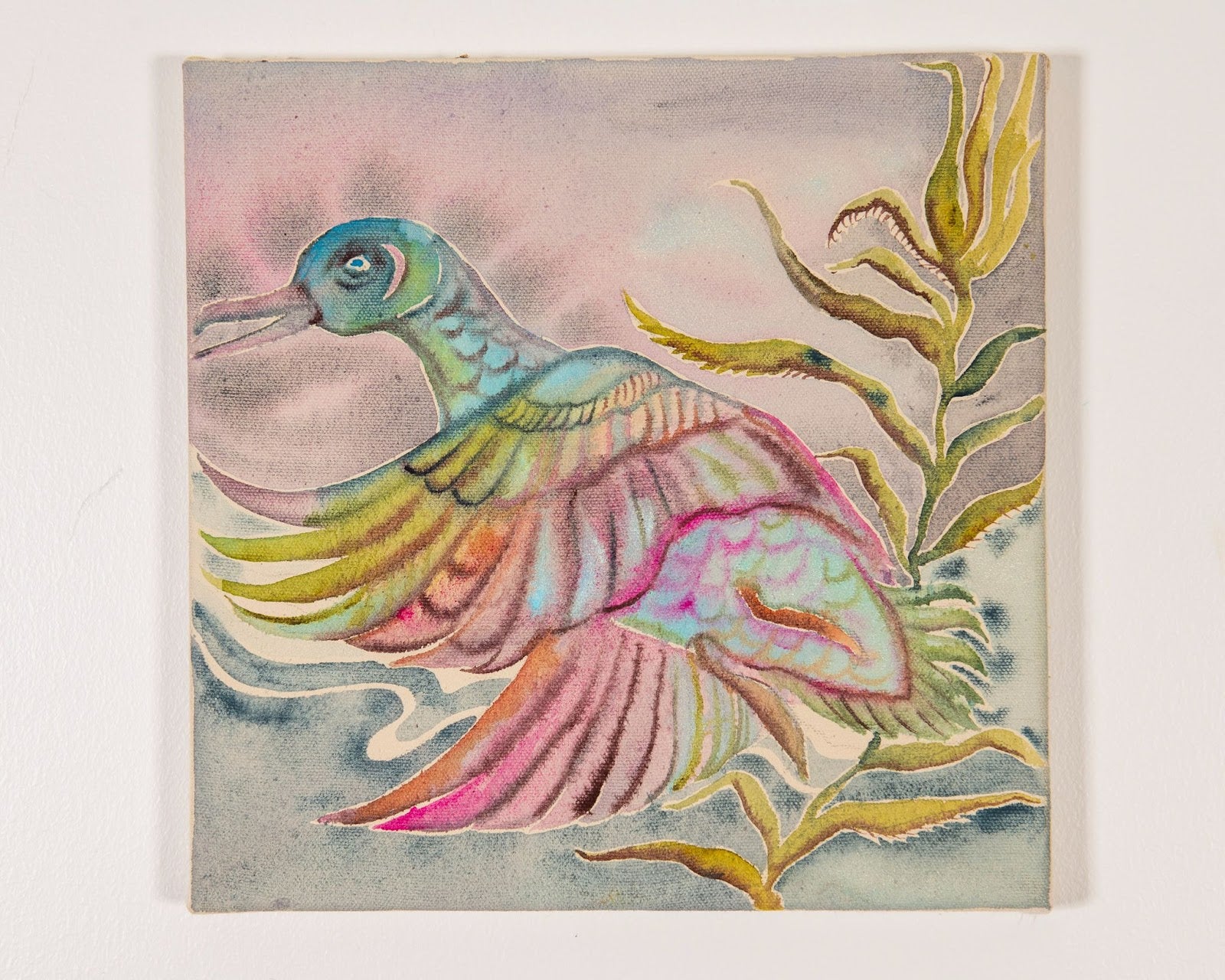 Rainbow Mallard