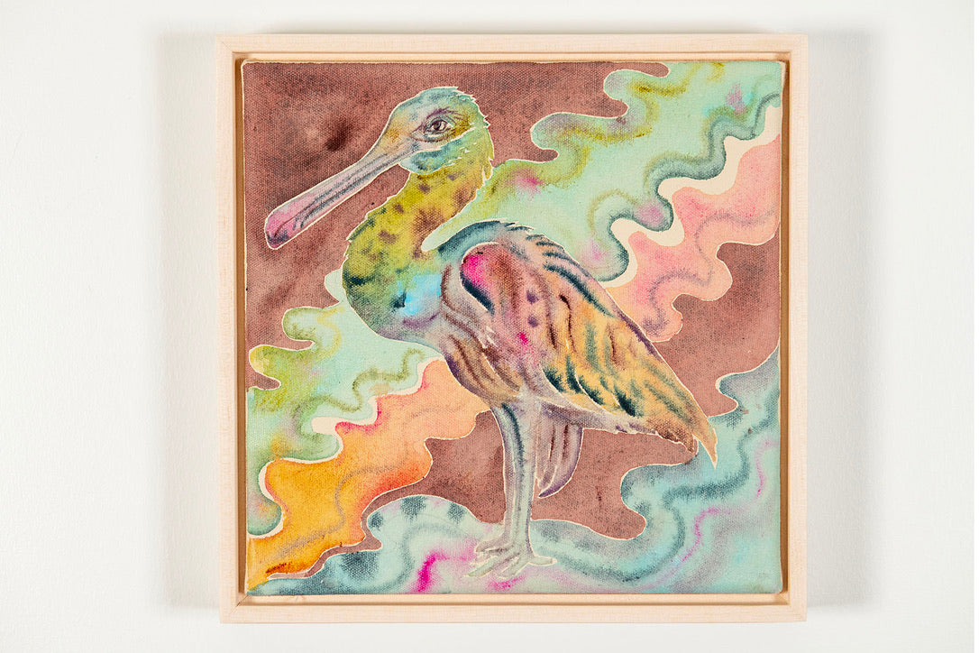Roseate Spoonbill
