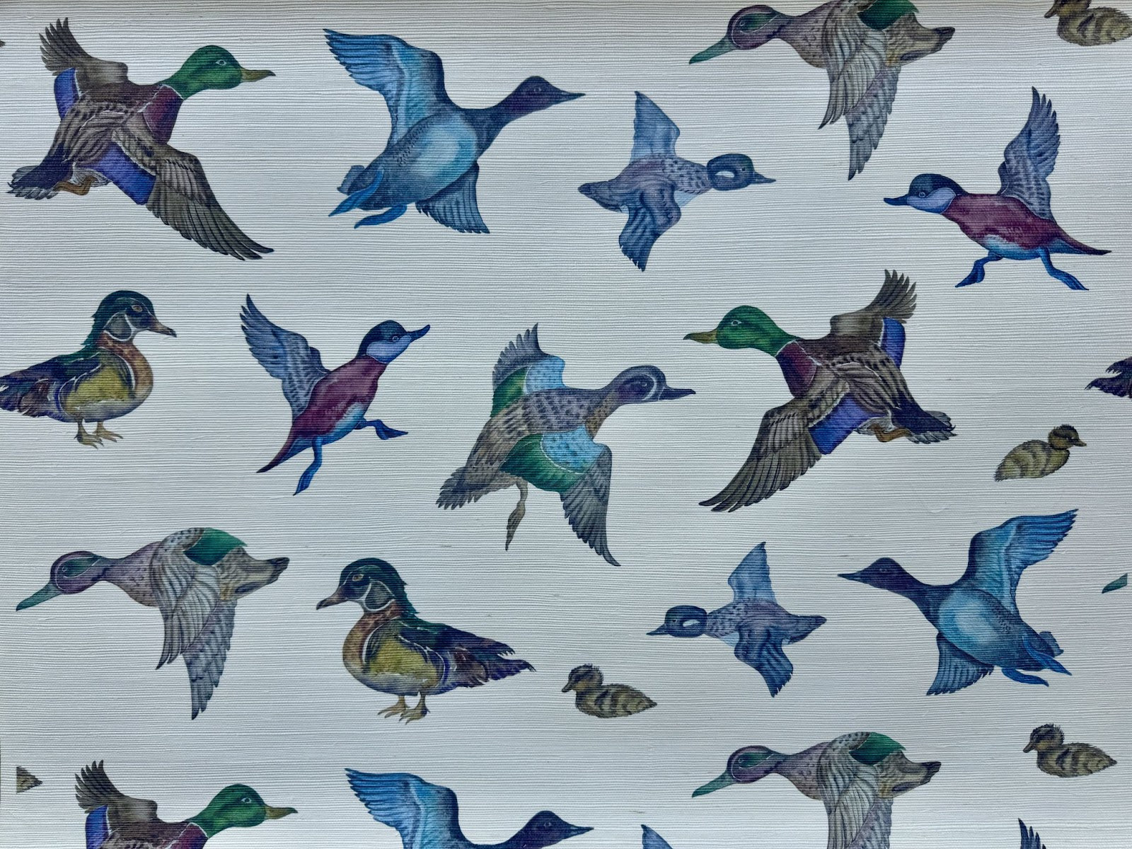 Texas Duck Grasscloth