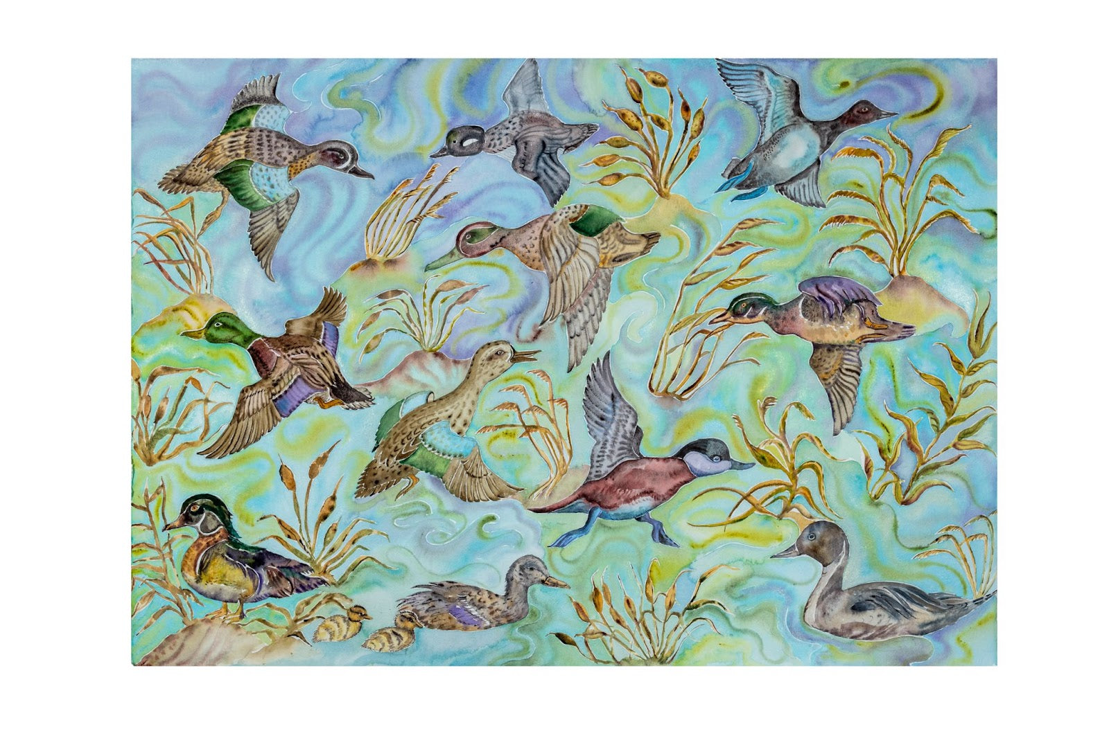 Texas Duck Menagerie