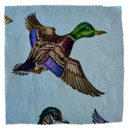 Texas Ducks Heather Blue